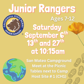 Yellow junior rangers flyer graphic with a golden poppy, footprints, and a planet earth in the background. California State Parks Junior Ranger badge with a bear in the top left. Flyer states 